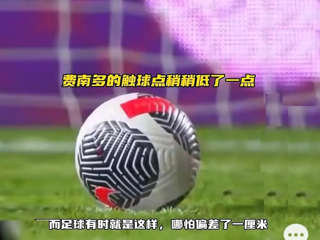 塞鸟的成功